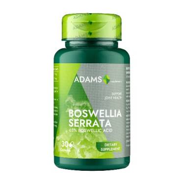 Boswellia Serata - Extract Tamaie - 30cps - Adams